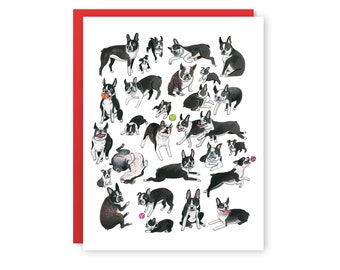 Boston Terrier Card