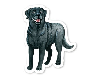 Black Labrador Sticker