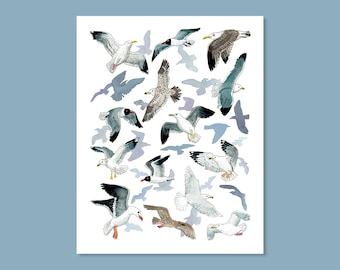 Seagull Sanctuary Print
