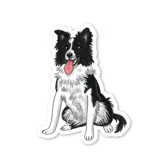 Border collie sale stickers for cars