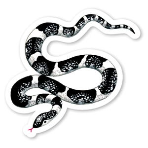 Black & White Snake Sticker