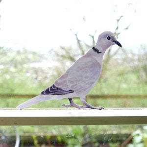 Collared Dove Wall Sticker Woodland Wall Stickers Birds Wood pigeon image 1