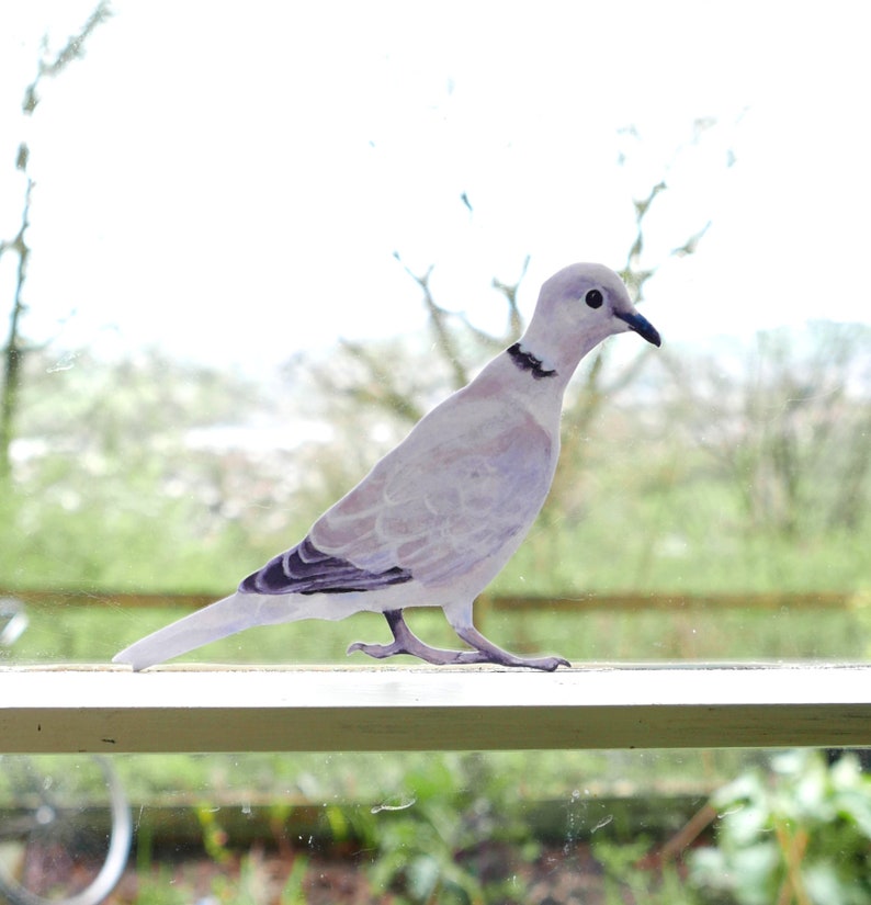 Collared Dove Wall Sticker Woodland Wall Stickers Birds Wood pigeon image 1