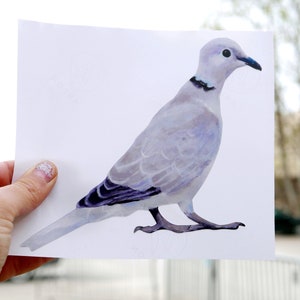 Collared Dove Wall Sticker Woodland Wall Stickers Birds Wood pigeon image 2