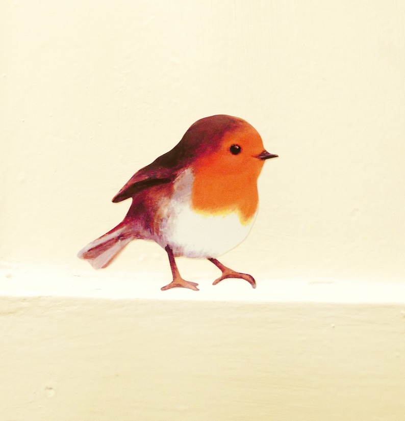 Little Robin Wall / Window Sticker Bird Decal Etsy