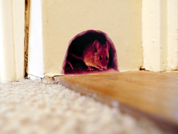Full Colour Cute Mouse Hole Mouse Door Skirting Board Wall Sticker Decal Decorat 