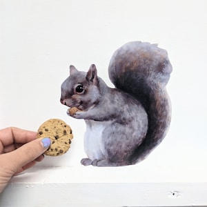 以下が含まれることがあります： ふさふさの尻尾を持つ灰色のリスが、小さな茶色のナッツを前足で持っています。リスは画像の左を見ています。リスは白い背景の上にいます。