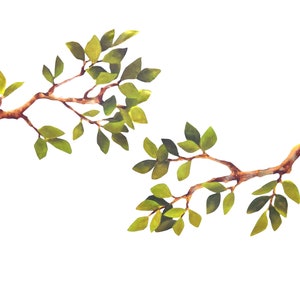 Tree Branch Decal Pair - Woodland Mural - Set of Two Designs - Stickers