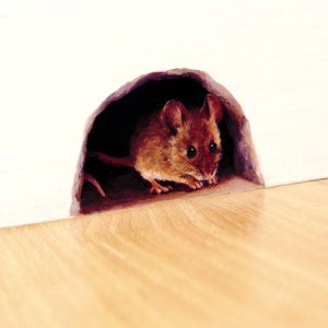 Adesivo de parede com buraco de rato / decalque para rodapé, mini mural