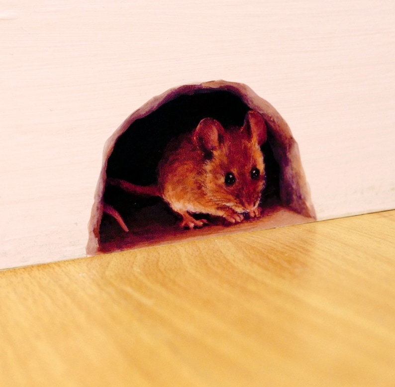 Mouse skirting board decal