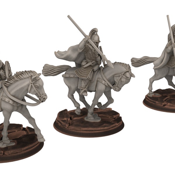 Rohan: el rey protege la caballería de Huscarls, el caballero de Rohan, los señores de los caballos, el jinete de la marca, minis para el juego de guerra D&D, Lotr...