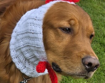 Chicken hat for dogs - All colors