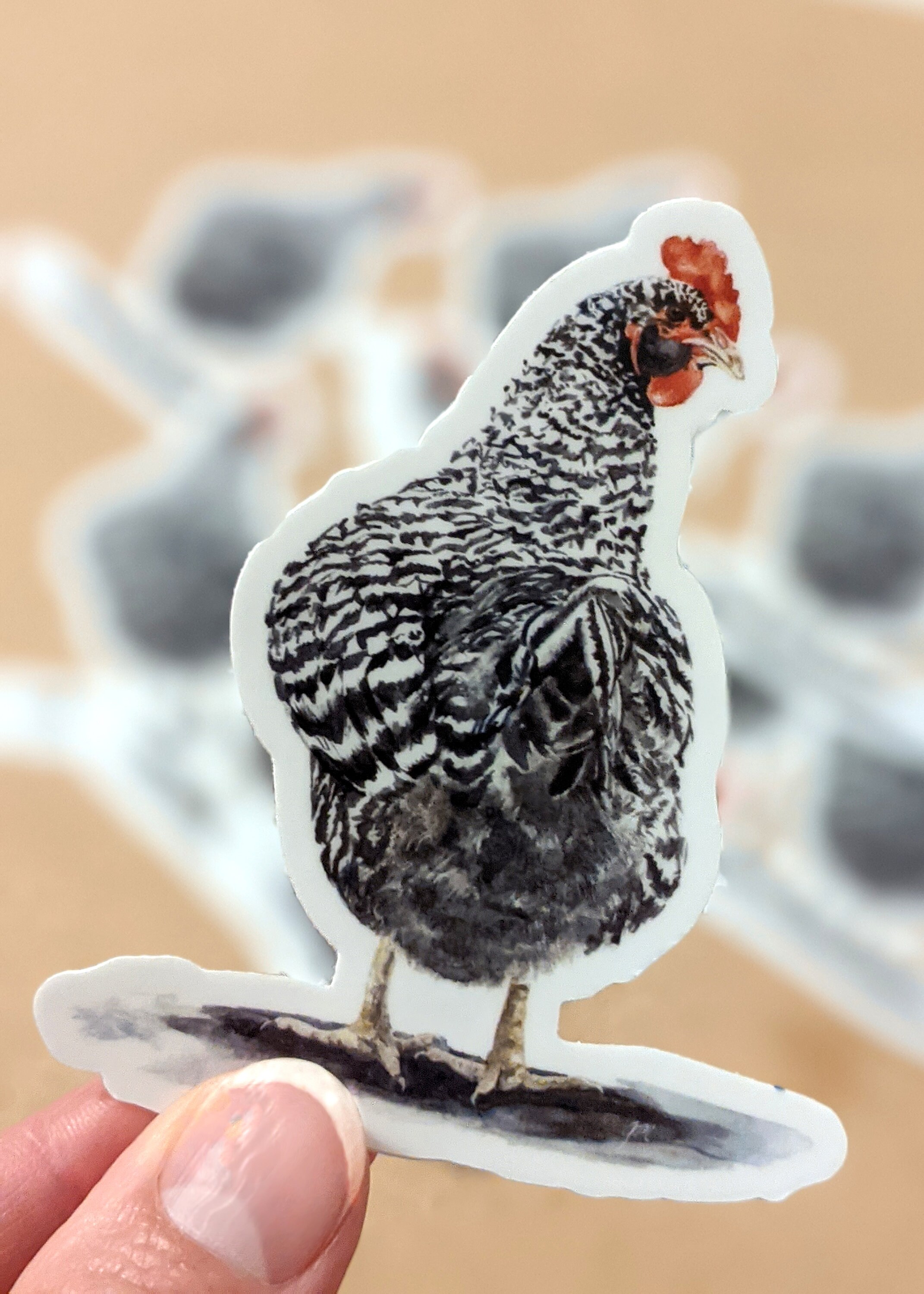 Chicken Stickers Hens and Rooster Sticker Set of 4 3 Inch Etsy