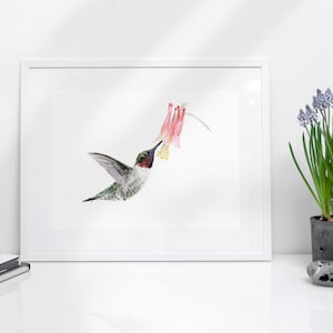 Ruby Throated Hummingbird and Columbine Watercolor Art, Bird Painting to Download and Print, Nature Home and Garden Wall Art