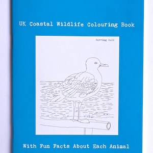 Coastal Animal Colouring Book, UK Coastal Wildlife Illustrated Colouring Book, Wildlife Colouring Book, Colouring for Adults