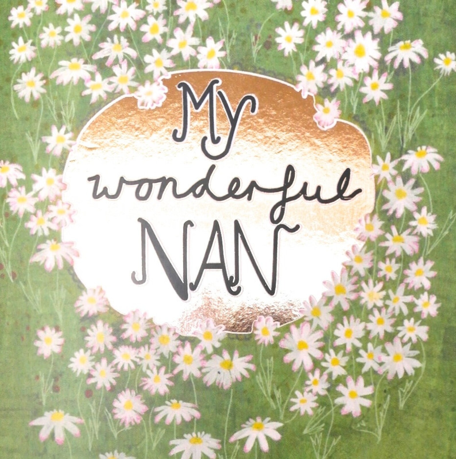Card for Nan, Mother's Day Card, My Wonderful Nan Illustrated Foiled ...