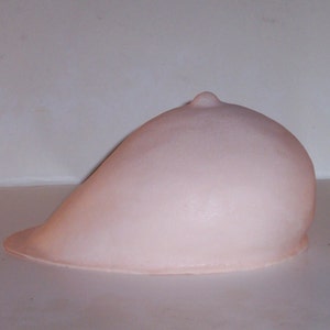 Silicone Breast Forms Pair Round Perky Shape Natural Soft Mastectomy TV TG  Boobs