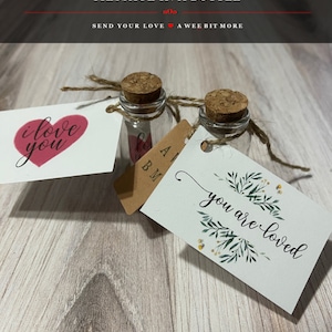 Messaggio in una bottiglia, dì che ti amo a mamma, papà, laureato, sei una nota amata, regalo per bambini, nota al viaggiatore, invia il tuo amore invece di una carta