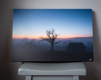 Foggy Morning Sunrise with Silhouette of Tree
