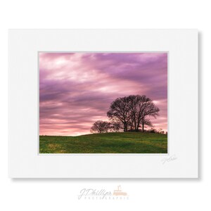 Purple Sunset Silhouette