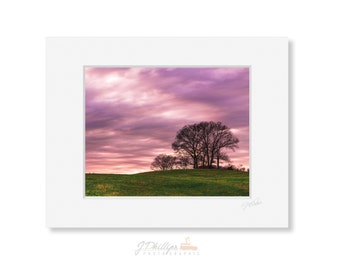 Purple Sunset Silhouette