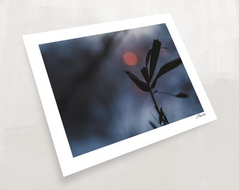 Bokeh Moon