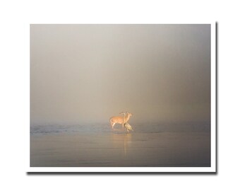 Deer & Heron Intertwined