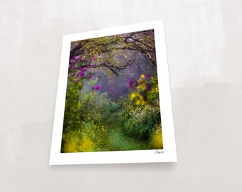 Morning Walk in Fairyland