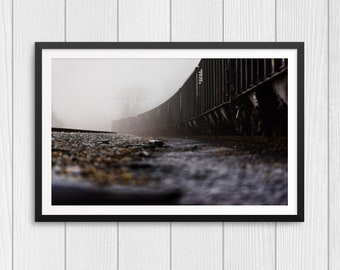 Winter at the Yard