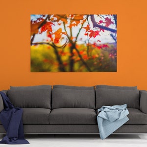 May include: A blurry photograph of red and orange leaves on a tree branch. The leaves are out of focus, creating a soft, dreamy effect. The background is a blur of green and brown.
