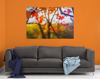 Leaves in Motion