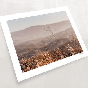 The Missing Link - Foothills Parkway