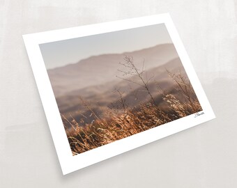 The Missing Link - Foothills Parkway