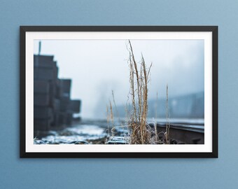 Cold Morning by the Tracks