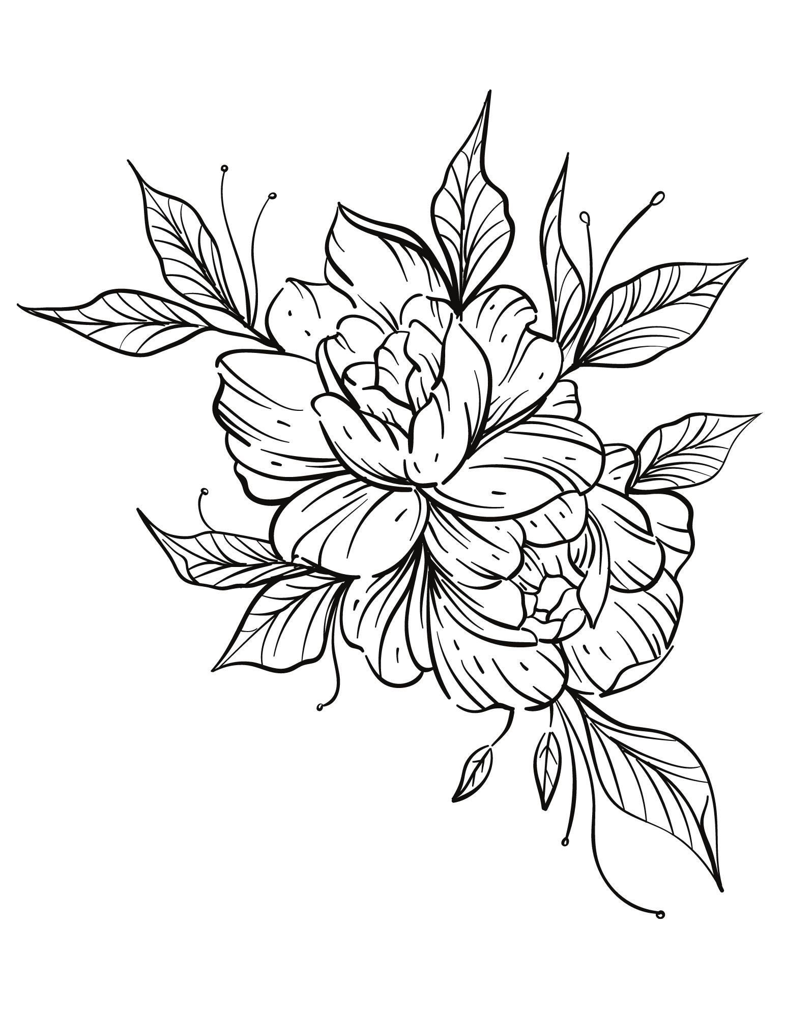 printable flower coloring pages vol 2 16 pages downloadable etsy