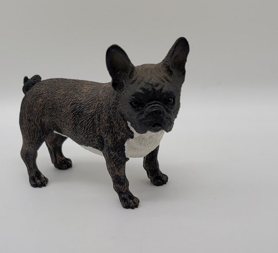 Black tan and deals white french bulldog