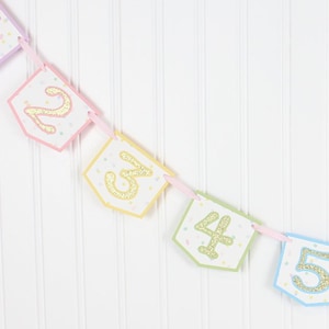 Pastel Rainbow Monthly Photo Banner Unicorn, Ice Cream Sprinkles First Monthly Milestone Banner image 2