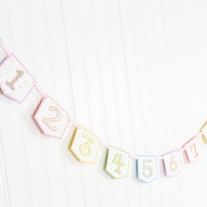 Pastel Rainbow Monthly Photo Banner Unicorn, Ice Cream Sprinkles First Monthly Milestone Banner Gold