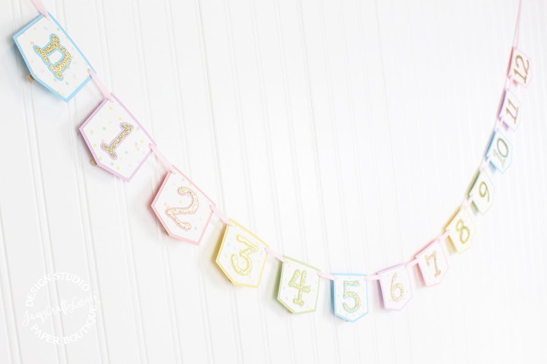 Pastel Rainbow Monthly Photo Banner Unicorn, Ice Cream Sprinkles First Monthly Milestone Banner Gold