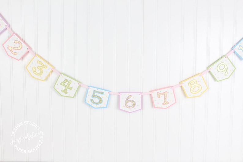 Pastel Rainbow Monthly Photo Banner Unicorn, Ice Cream Sprinkles First Monthly Milestone Banner image 2