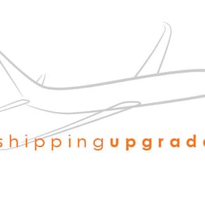 Express Mail Shipping Upgrade