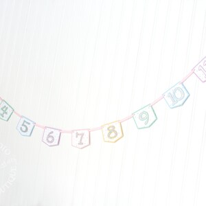 Pastel Rainbow Monthly Photo Banner Unicorn, Ice Cream Sprinkles First Monthly Milestone Banner Silver