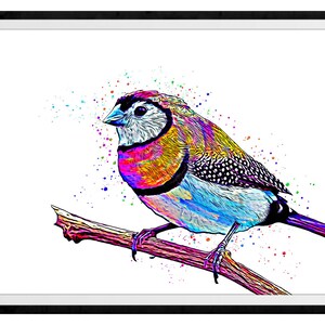 Owl Finch Mixed Media Painting Art Print #2