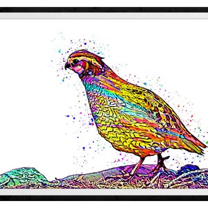 Bobwhite-Quail Mixed Media Painting Art Print