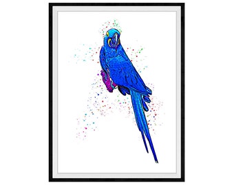 Hyacinth Macaw Mixed Media Painting Art Print