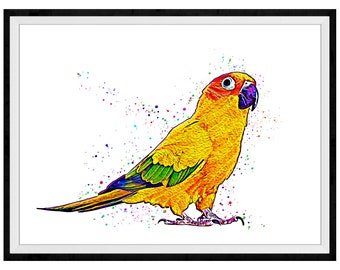 Sun Conure Mixed Media Painting Art Print #2