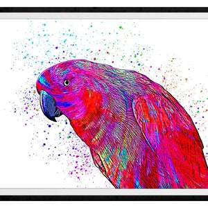 Eclectus Parrot Mixed Media Painting Art Print