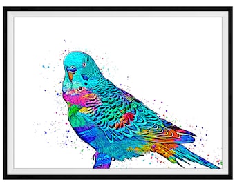 Budgerigar Mixed Media Painting Art Print