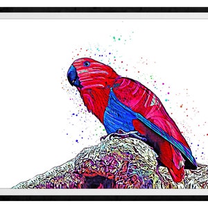 Eclectus Parrot Mixed Media Painting Art Print #2