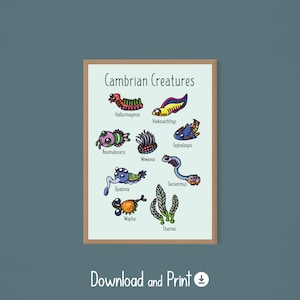 Op de afbeelding: Een afdrukbare poster met illustraties van Cambrium-wezens, waaronder Hallucigenia, Haikouichthys, Cephalaspis, Anomalocaris, Wiwaxia, Opabinia, Waptia en Charnia. De poster heeft een bruin frame en de titel "Cambrium-wezens" staat bovenaan.